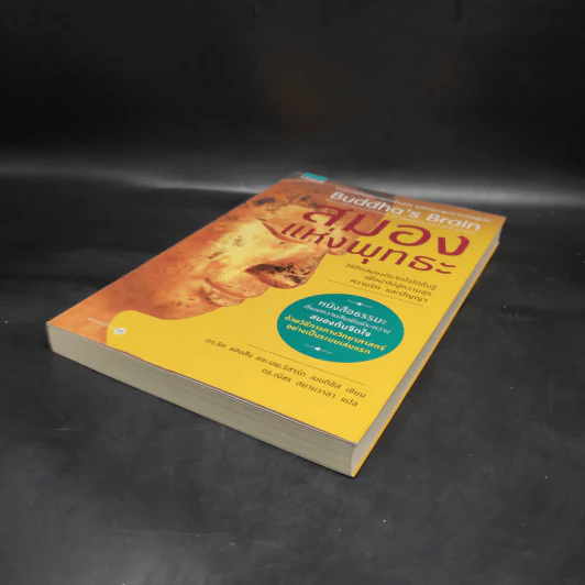 สมองแห่งพุทธะ : Buddha's Brain - Richard Mendius (ริชาร์ด แมนดิอัส), Rick Hanson (ริค แฮนสัน) รูปที่ 4