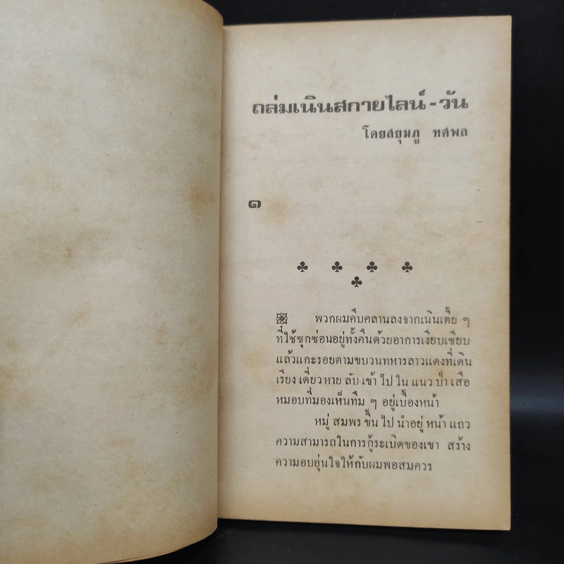 ถล่มเนินสกายไลน์-วัน - สยุมภู ทศพล รูปที่ 6