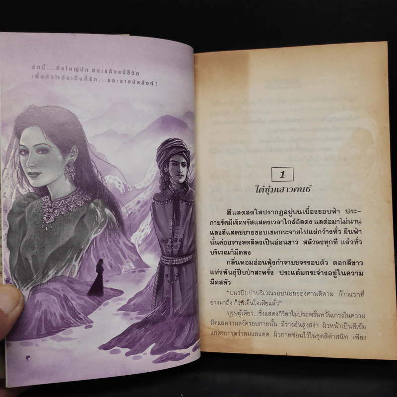ตะวันฤาดับ - ช่อลัดา รูปที่ 6