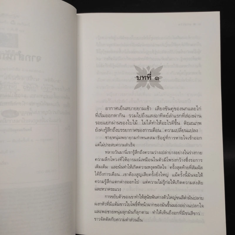 ลางลิขิต - กิ่งฉัตร รูปที่ 6