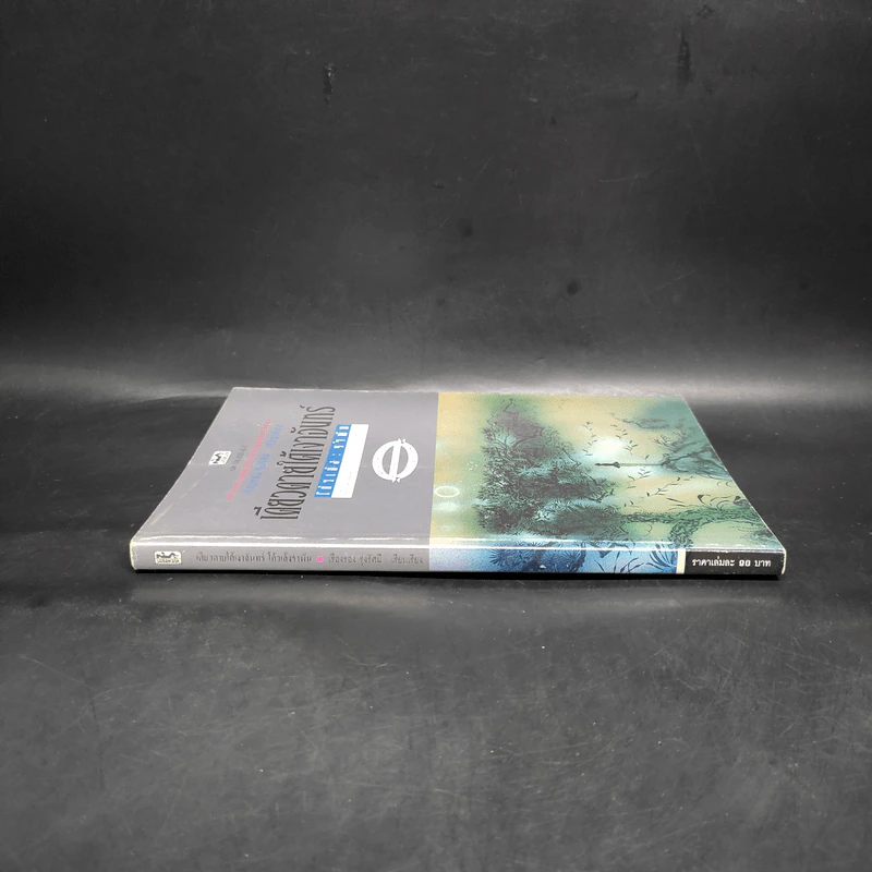 เดียวดายใต้เงาจันทร์ - โก้วเล้ง รูปที่ 3
