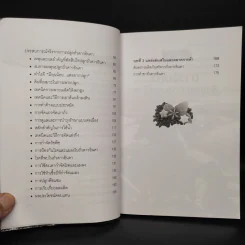 ถั่วดาวอินคา โอเมก้าบนดิน - พินิจ จันทร รูปที่ 7