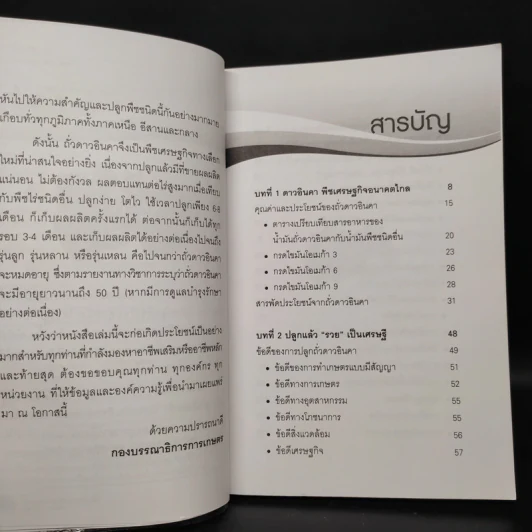 ถั่วดาวอินคา โอเมก้าบนดิน - พินิจ จันทร รูปที่ 6