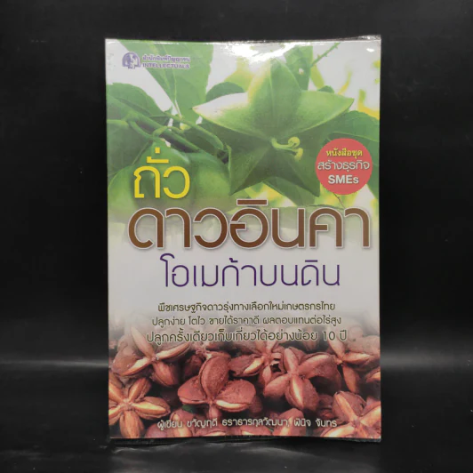 ถั่วดาวอินคา โอเมก้าบนดิน - พินิจ จันทร รูปที่ 1