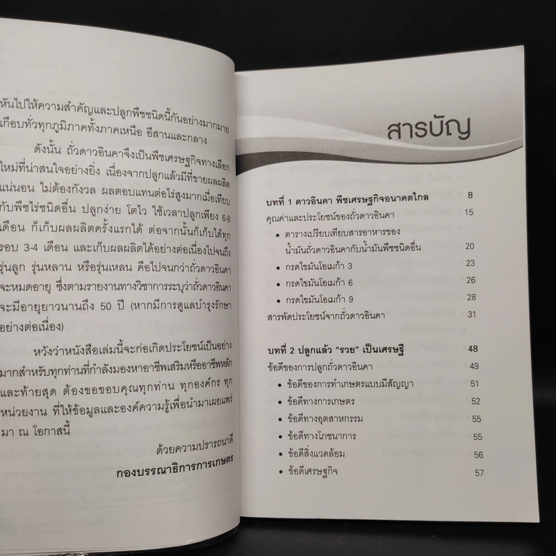 ถั่วดาวอินคา โอเมก้าบนดิน - พินิจ จันทร รูปที่ 6