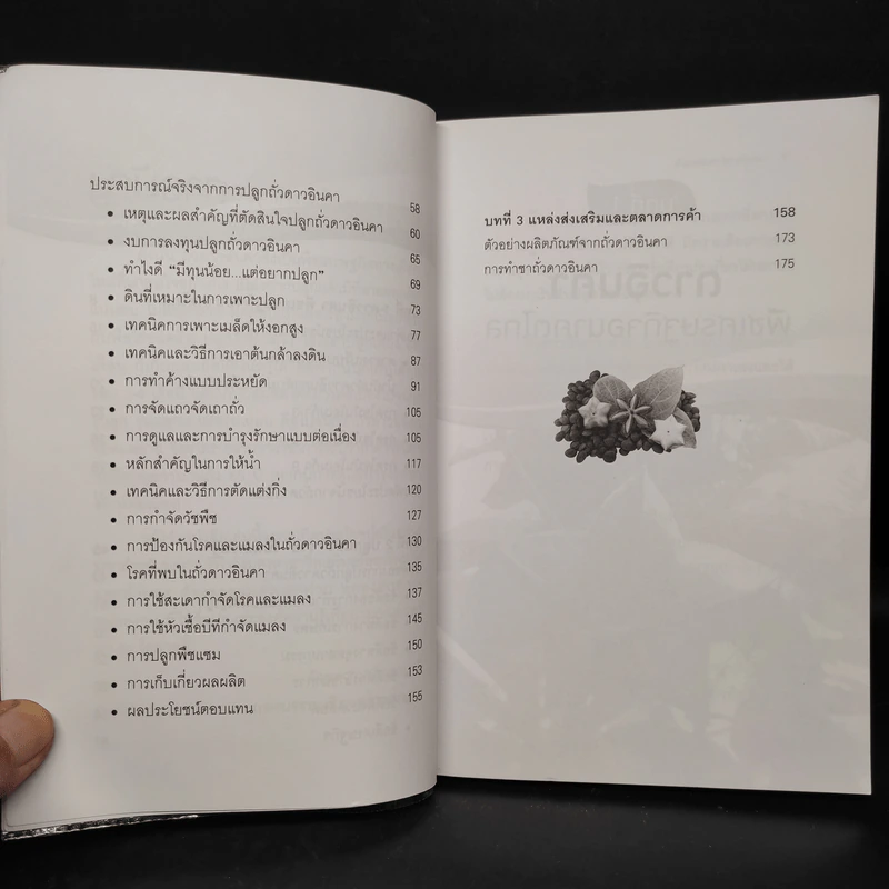 ถั่วดาวอินคา โอเมก้าบนดิน - พินิจ จันทร รูปที่ 7