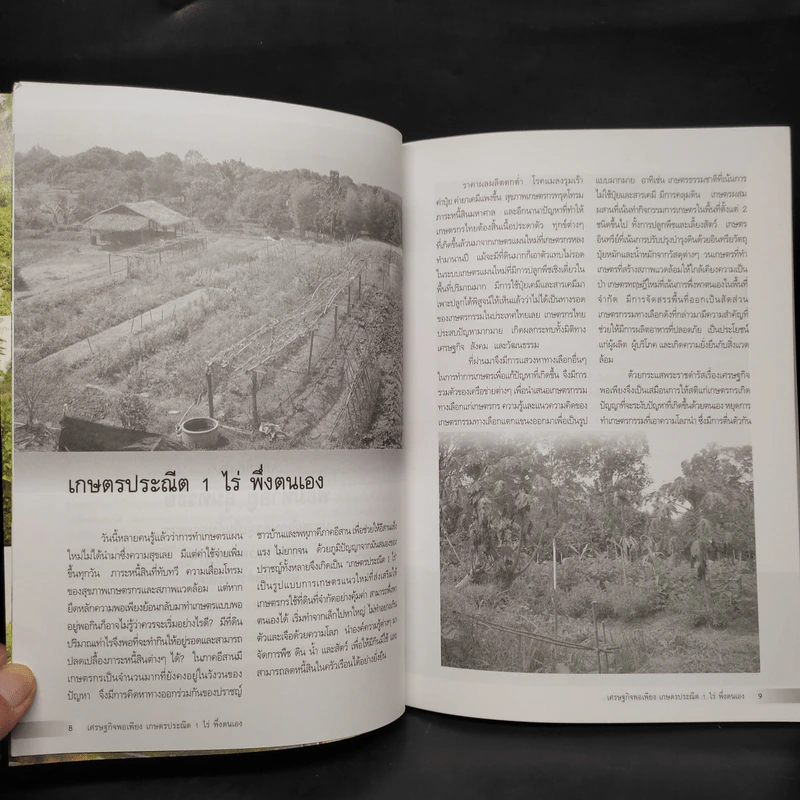 เศรษฐกิจพอเพียง เกษตรประณีต 1 ไร่ พึ่งตนเอง รูปที่ 6