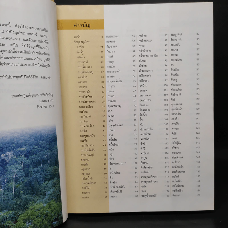 พฤกษชาติสมุนไพร รูปที่ 6