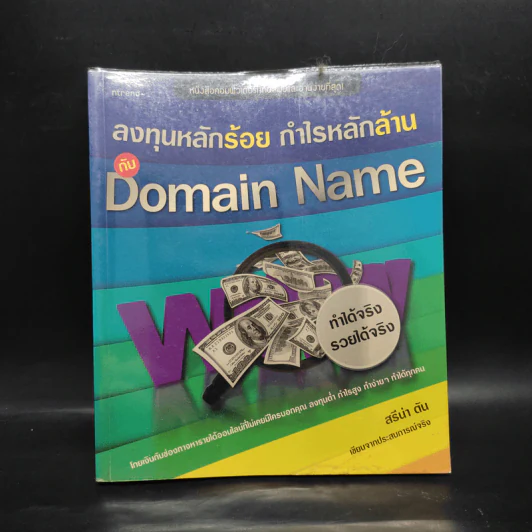 ลงทุนหลักร้อย กำไรหลักล้าน กับ Domain Name - สรีน่า ตัน รูปที่ 1