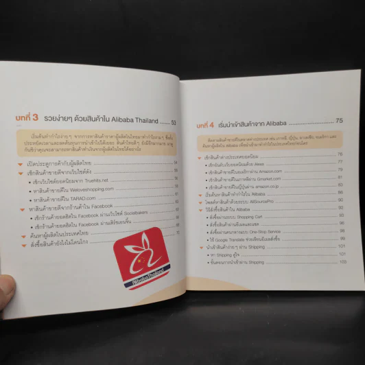 นำเข้า-ส่งออกออนไลน์ Alibaba มือใหม่ก็รวยได้ รูปที่ 7
