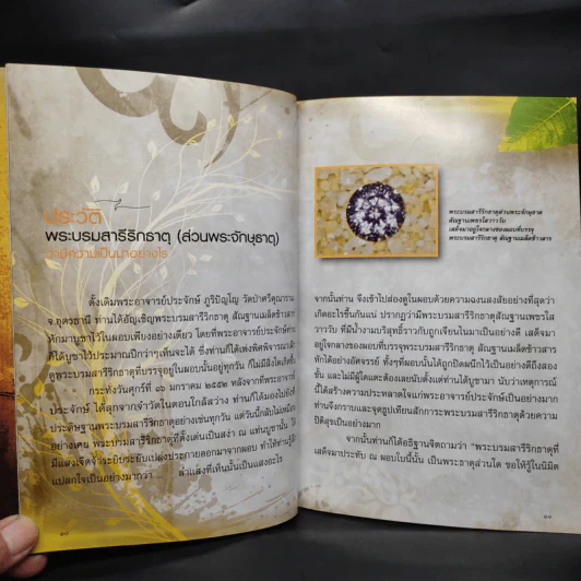 พระจักษุธาตุ พระบรมสารีริกธาตุหนึ่งเดียวในโลก - พระอาจารย์ประจักษ์ ภูริปัญโญ รูปที่ 7