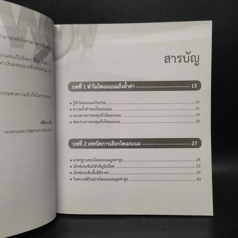 ลงทุนหลักร้อย กำไรหลักล้าน กับ Domain Name - สรีน่า ตัน รูปที่ 6