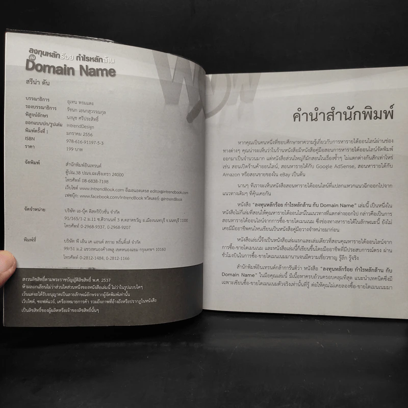 ลงทุนหลักร้อย กำไรหลักล้าน กับ Domain Name - สรีน่า ตัน รูปที่ 5