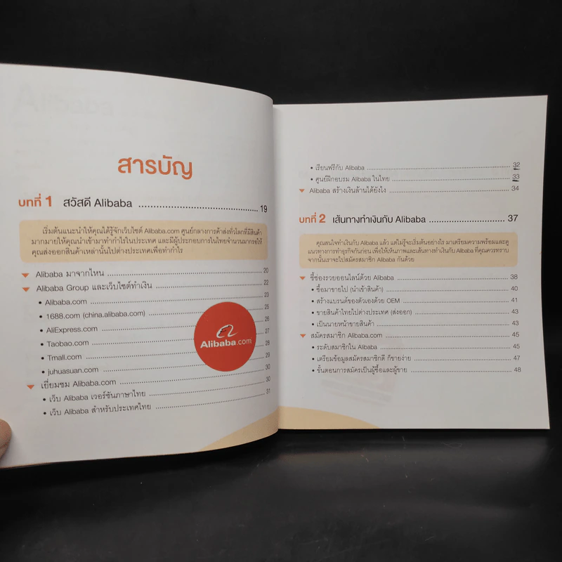 นำเข้า-ส่งออกออนไลน์ Alibaba มือใหม่ก็รวยได้ รูปที่ 6