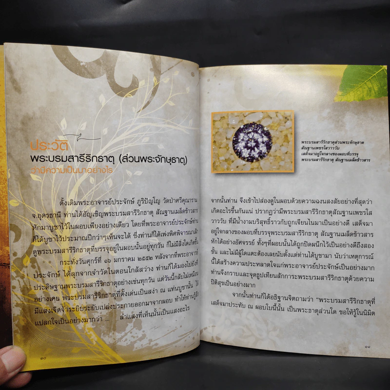 พระจักษุธาตุ พระบรมสารีริกธาตุหนึ่งเดียวในโลก - พระอาจารย์ประจักษ์ ภูริปัญโญ รูปที่ 7