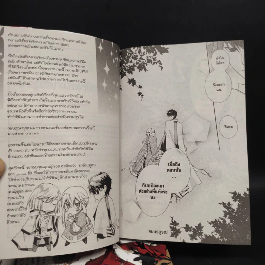 ตามล่าปีกแห่งราตรีมืด 4 เล่มจบ รูปที่ 9