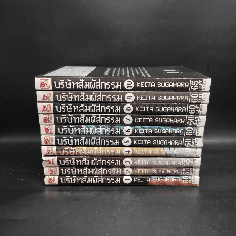 บริษัทสัมผัสกรรม 10 เล่มจบ รูปที่ 2