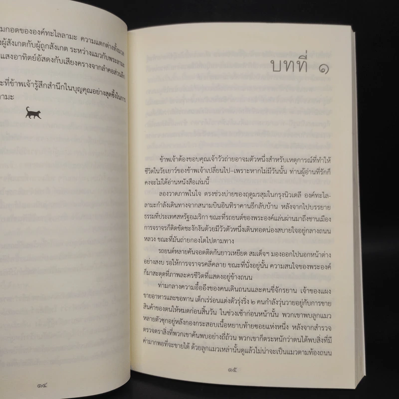 แมวขององค์ทะไลลามะ - David Michie (เดวิด มิชี่) รูปที่ 7