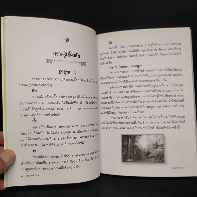 สมุนไพรต้านโรค (อนุสรณ์งานพระราชทานเพลิงศพ นายบังเอิญ มุสิกะพงษ์) รูปที่ 7