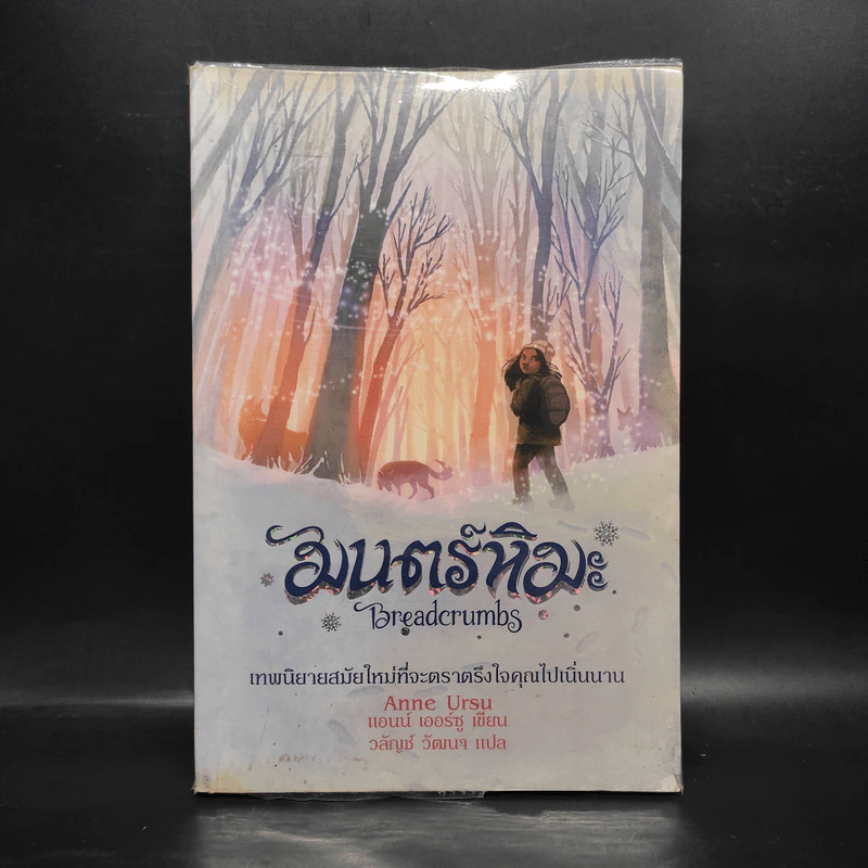 มนตร์หิมะ - แอนน์ เออร์ซู รูปที่ 1