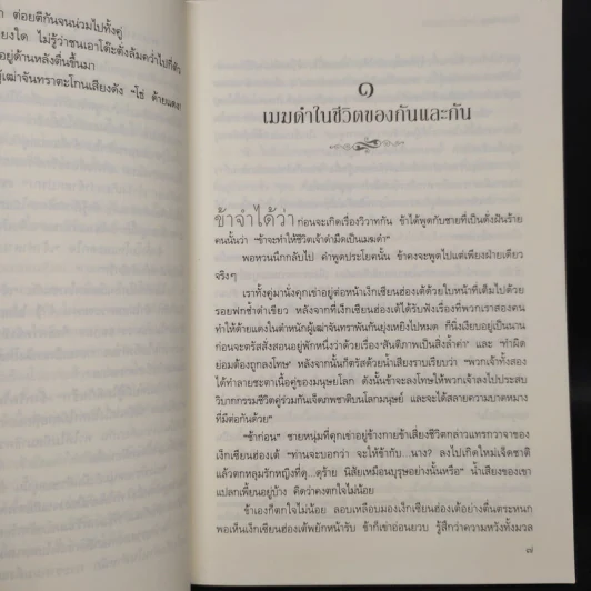 เจ็ดชาติภพ หนึ่งปรารถนา - จิ่วลู่เฟยเซียง (Jiu Lu Fei Xiang) รูปที่ 7