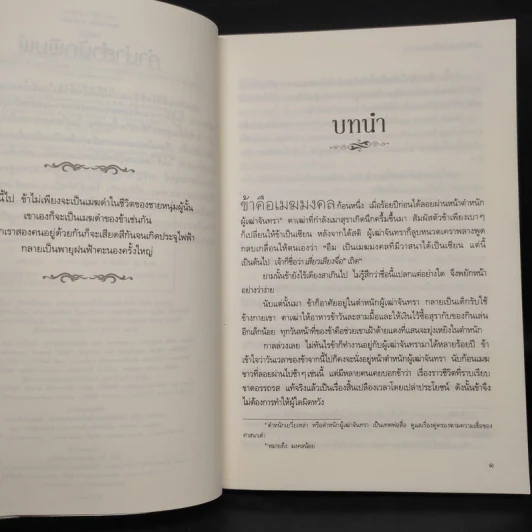 เจ็ดชาติภพ หนึ่งปรารถนา - จิ่วลู่เฟยเซียง (Jiu Lu Fei Xiang) รูปที่ 6