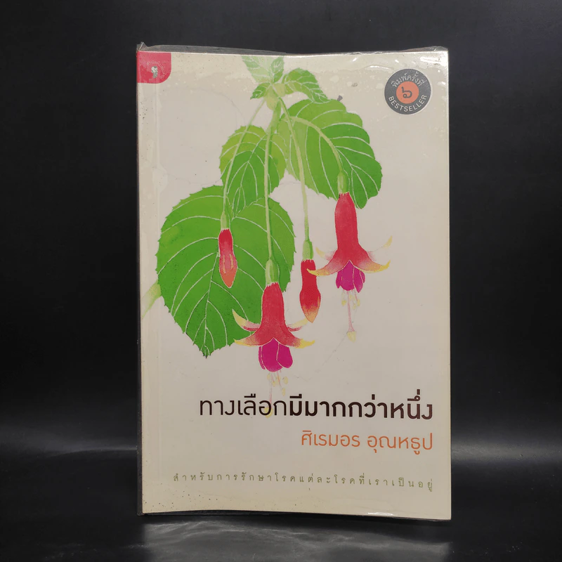 ทางเลือกมีมากกว่าหนึ่ง - ศิเรมอร อุณหธูป รูปที่ 1