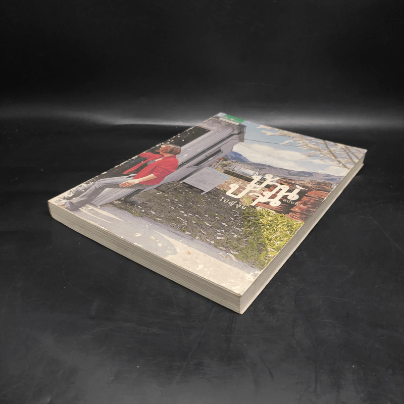 บ้านบ้าน ฉบับที่ 6 ไปญี่ปุ่น - ภัทรสิริ อภิชิต รูปที่ 4