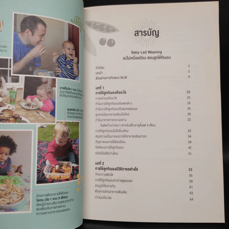 แม่ไม่เหนื่อยป้อน สอนลูกให้กินเอง - จิลล์ แรปลีย์,เทรซี เมอร์เก็ตต์ รูปที่ 6
