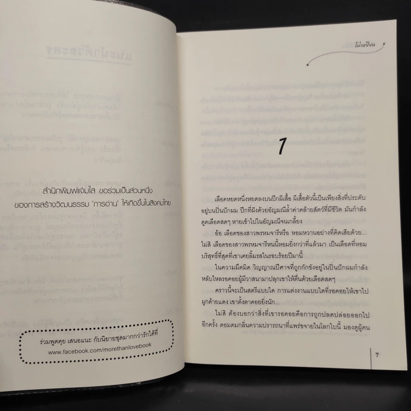 นิยายแจ่มใส คืนนางดั่งคืนใจ ชุดปีศาจอุ้มสม - โม่เหยียน รูปที่ 6
