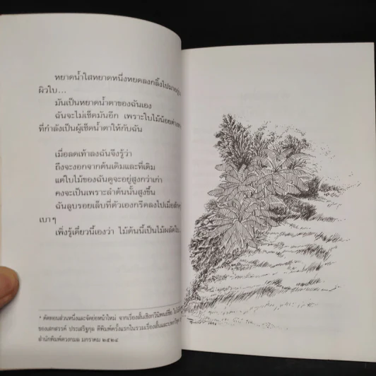 ใบไม้ที่หายไป - จิระนันท์ พิตรปรีชา รูปที่ 6