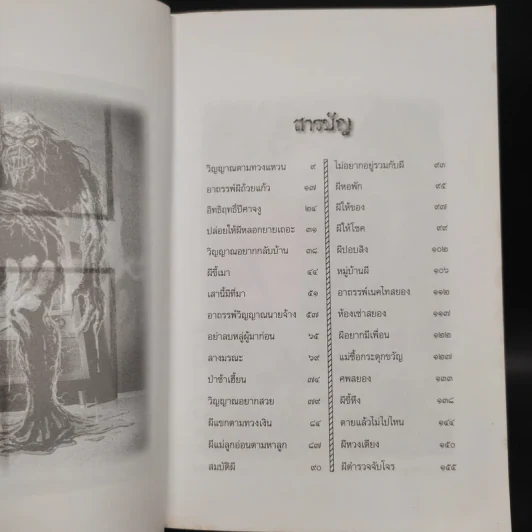 ผี เรื่องเล่าจากประสบการณ์จริง - เทอดธรรม แสงทิพย์ รูปที่ 6