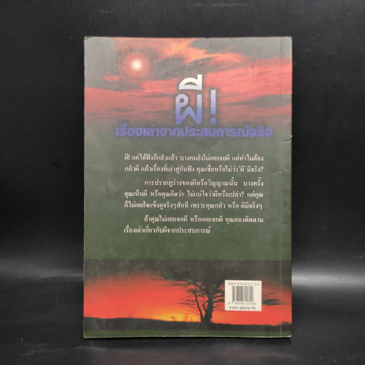 ผี เรื่องเล่าจากประสบการณ์จริง - เทอดธรรม แสงทิพย์ รูปที่ 2