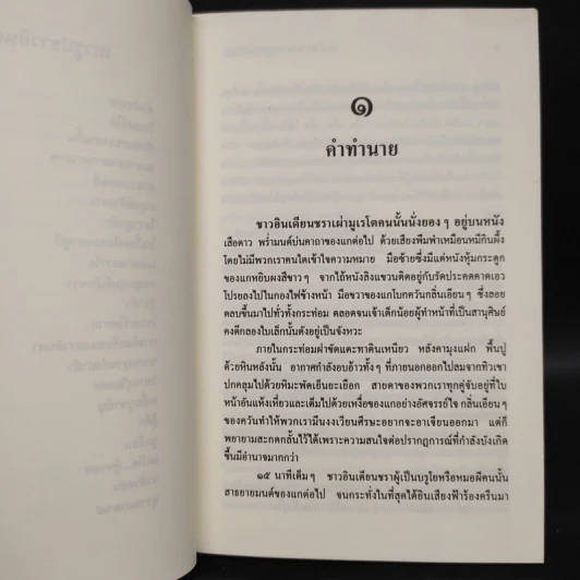 ล่องไพร เทวรูปชาวอินคา - น้อย อินทนนท์ รูปที่ 7