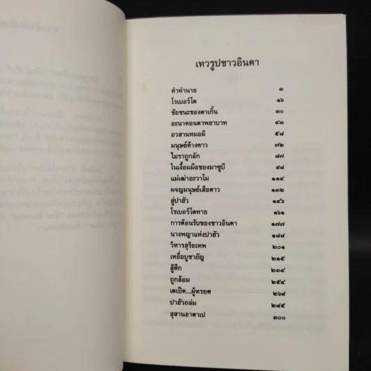 ล่องไพร เทวรูปชาวอินคา - น้อย อินทนนท์ รูปที่ 6