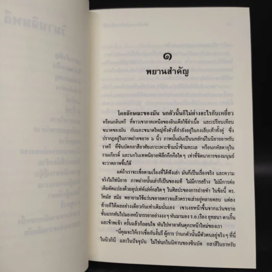 ล่องไพร วิมานฉิมพลี - น้อย อินทนนท์ รูปที่ 7