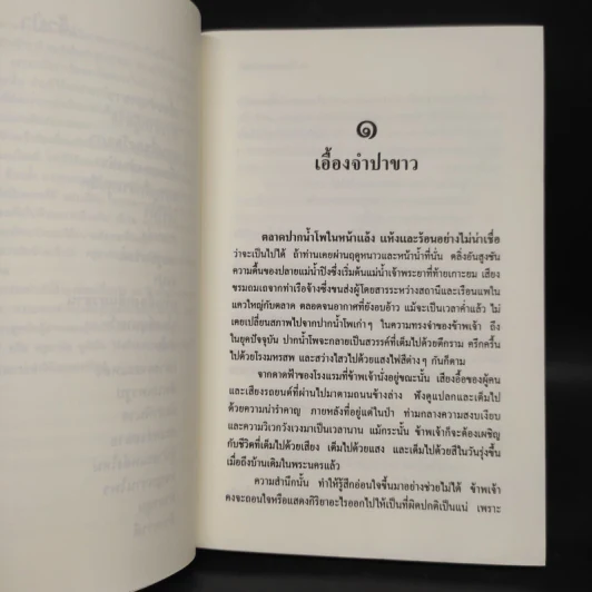 ล่องไพร เจ้าป่า - น้อย อินทนนท์ รูปที่ 7