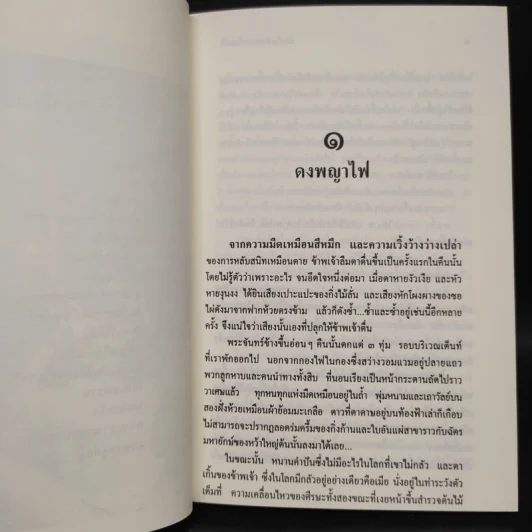 ล่องไพร ตอน จามเทวี - น้อย อินทนนท์ รูปที่ 7