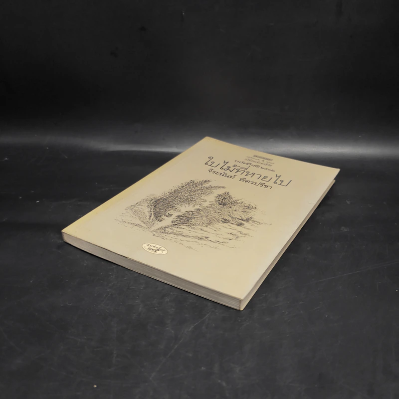 ใบไม้ที่หายไป - จิระนันท์ พิตรปรีชา รูปที่ 4