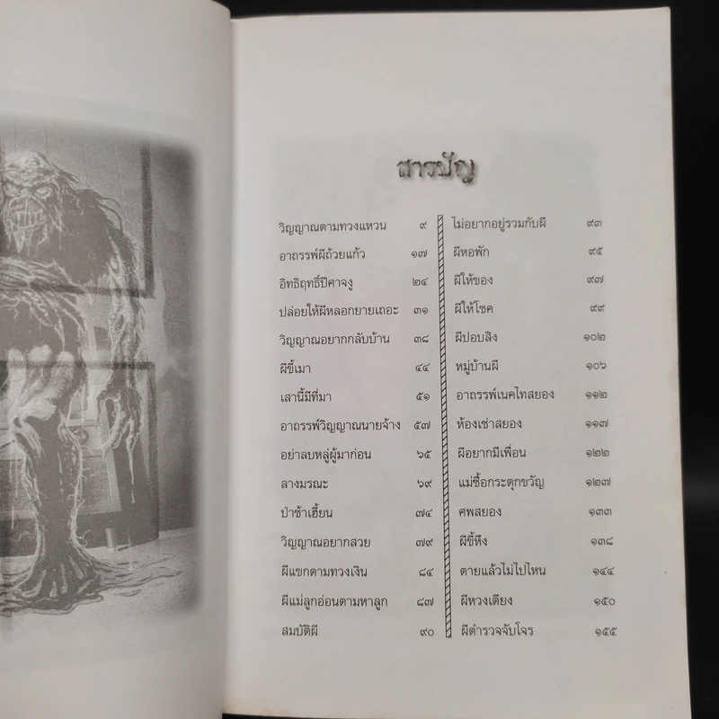ผี เรื่องเล่าจากประสบการณ์จริง - เทอดธรรม แสงทิพย์ รูปที่ 6