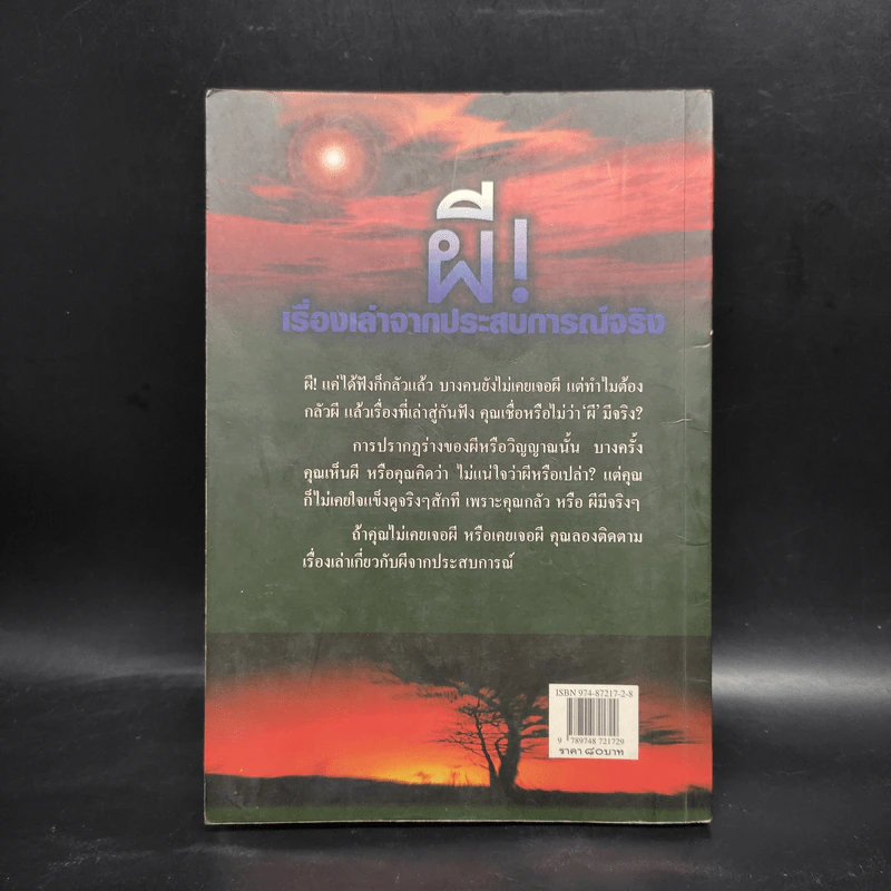 ผี เรื่องเล่าจากประสบการณ์จริง - เทอดธรรม แสงทิพย์ รูปที่ 2