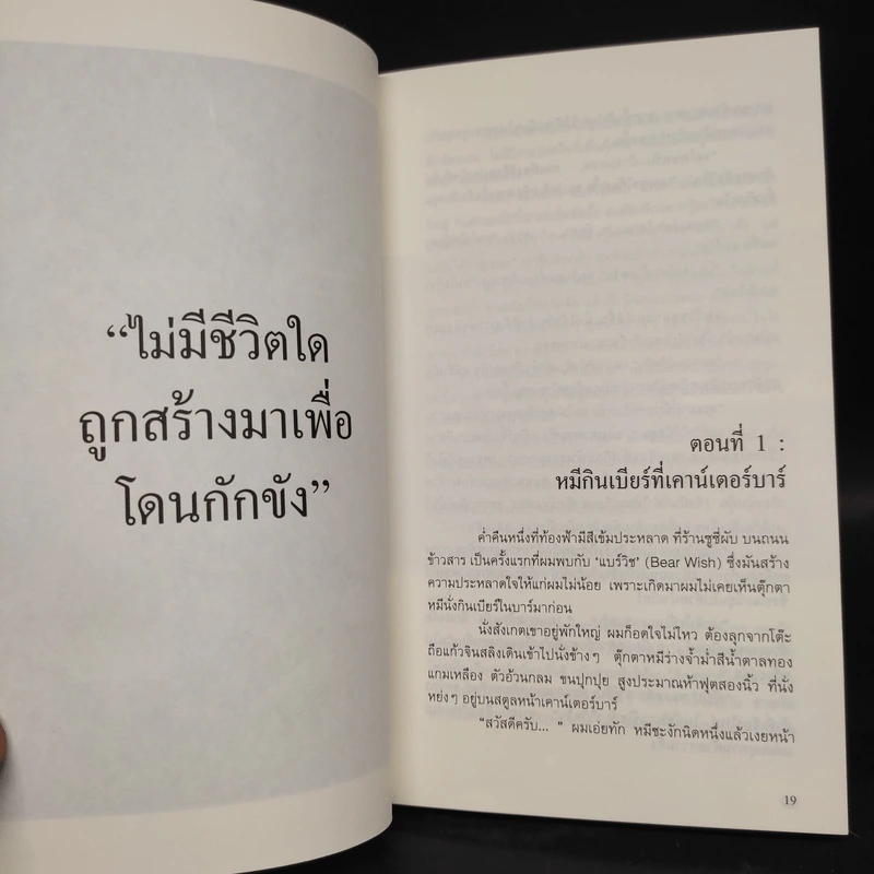 The Bear Wish Project - เดปป์ นนทเขตคาม รูปที่ 6