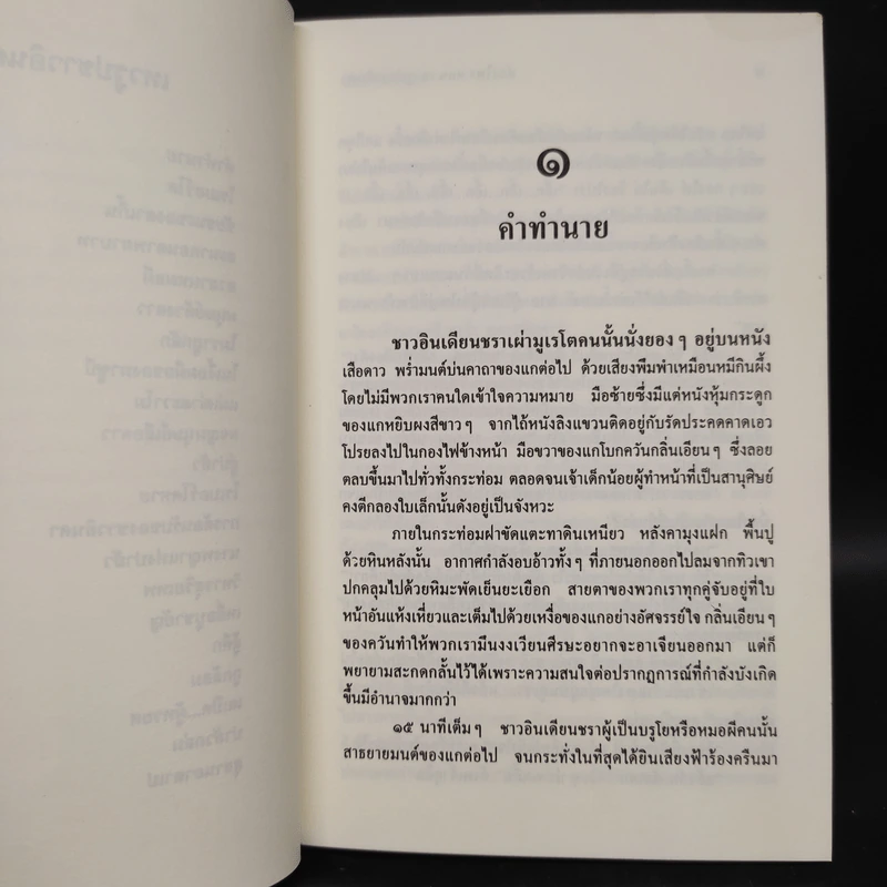 ล่องไพร เทวรูปชาวอินคา - น้อย อินทนนท์ รูปที่ 7