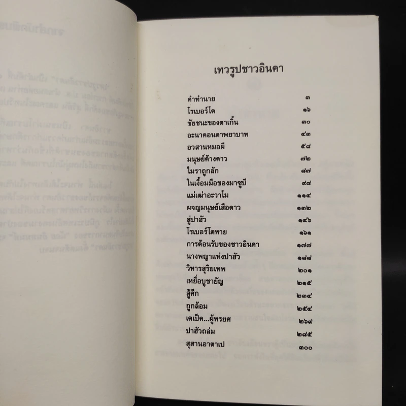 ล่องไพร เทวรูปชาวอินคา - น้อย อินทนนท์ รูปที่ 6