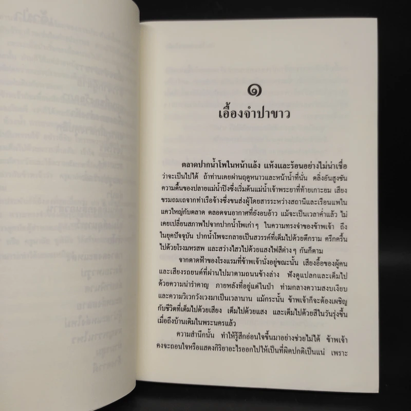 ล่องไพร เจ้าป่า - น้อย อินทนนท์ รูปที่ 7