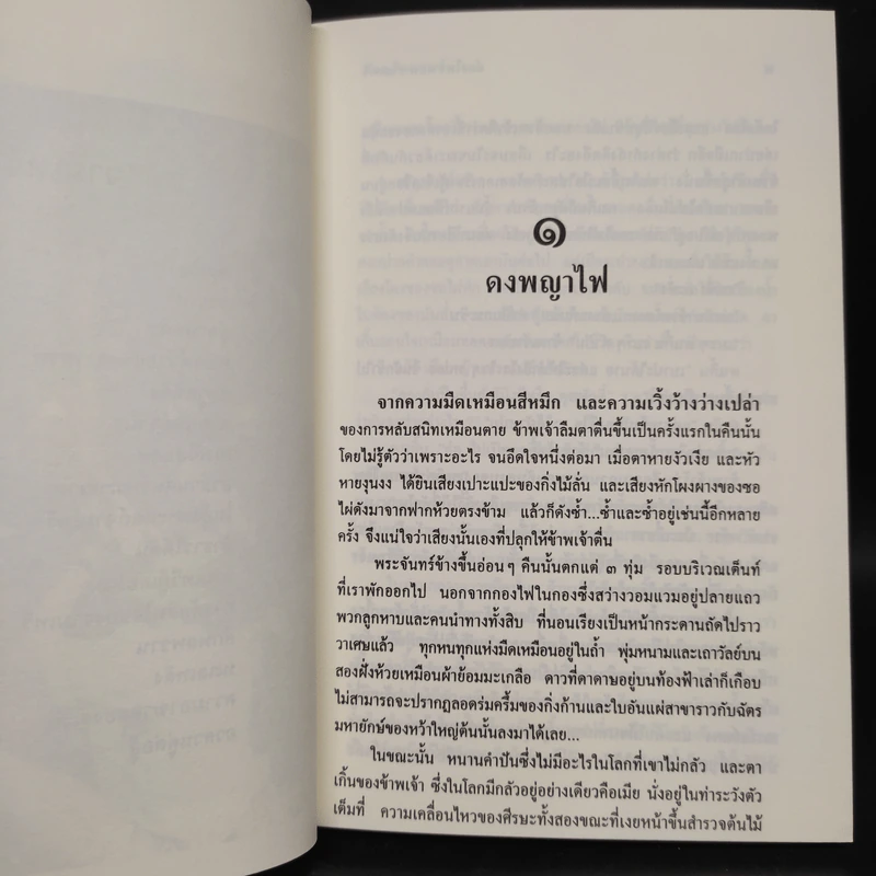 ล่องไพร ตอน จามเทวี - น้อย อินทนนท์ รูปที่ 7