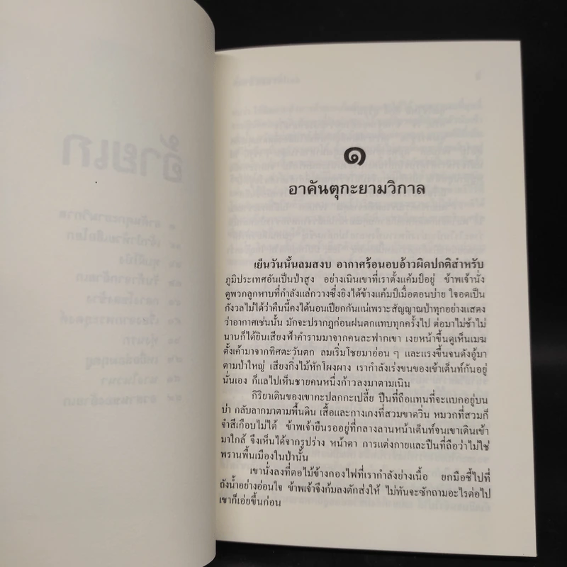 ล่องไพร อ้ายเกและงาดำ - น้อย อินทนนท์ รูปที่ 6