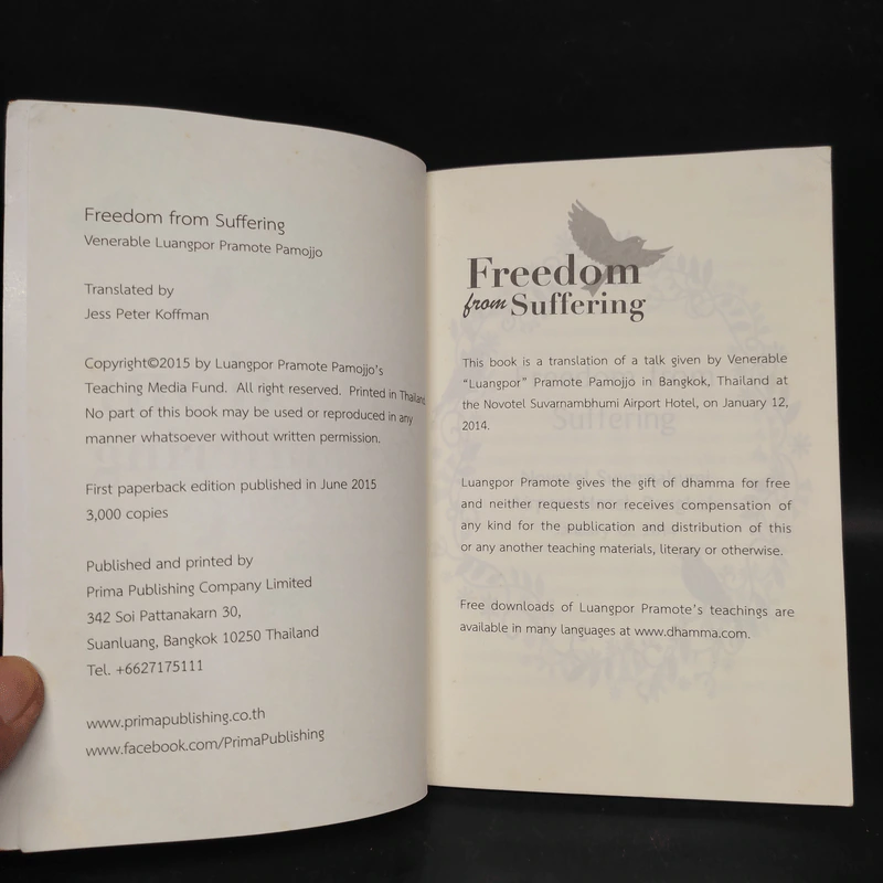 Freedom from Suffering - Jess Peter Koffman รูปที่ 5