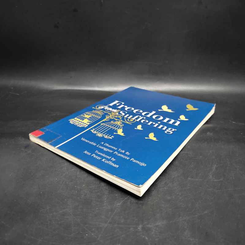 Freedom from Suffering - Jess Peter Koffman รูปที่ 4