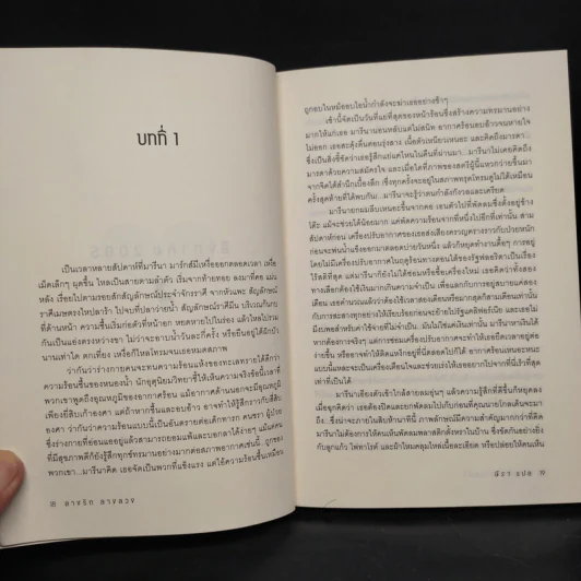 ลางรัก ลางลวง - Debra Ginsberg (เดบรา กินส์เบิร์ก) รูปที่ 7